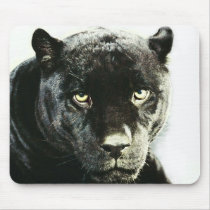 Black Jaguar Panther Mousepads