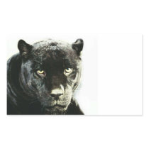 Black Jaguar Panther Rectangle Stickers