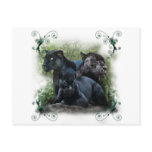 Black Jaguar