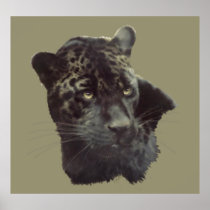 Black Jaguar Poster