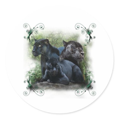 Black Jaguar by Spyder13x085