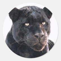 Black Jaguar Sticker