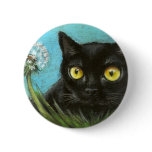 Black kitty