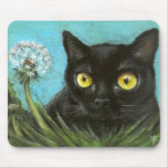Black kitty