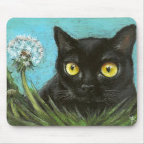 Black kitty