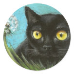 Black kitty