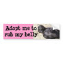 Black Lab Bumper Sticker