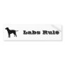 Black Lab Bumper Sticker 1