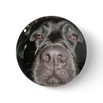Black Lab Pinback Buttons