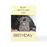 Black Lab Cards