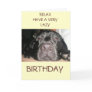 Black Lab Cards