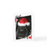 Black lab dog nose with santa hat photograph card