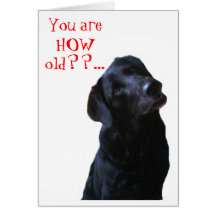 Black Lab Dog Tipping Head Wishing Happy Birthday Greeting Card