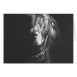 Black Lab Dog Watercolor by Paul Jackson Cards