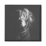 Black Lab Dog Watercolor by Paul Jackson Refrigerator Magnets