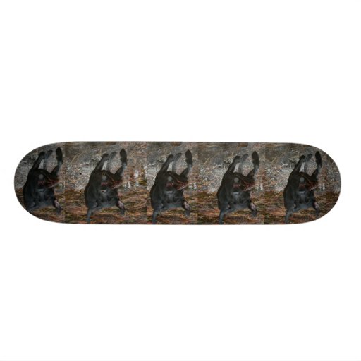Black Lab Dog with Pinecone running Custom Skate Board