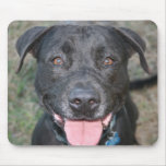 Black lab head shot happy with tongue close up mousepads