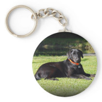 Black Lab Key Chain