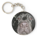 Black Lab Keychains