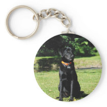 Black Lab Key Chains