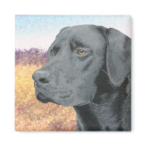 Black Lab Fridge Magnet