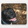 Black Lab Mix dog happy grin against leaves Mouse Pads