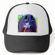 Black lab mix nose, small purple flower picture mesh hats