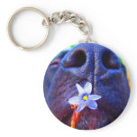 Black lab mix nose, small purple flower picture keychain