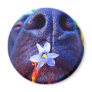 Black lab mix nose, small purple flower picture fridge magnet
