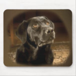Black Lab mouse pad mousepads
