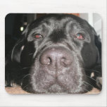Black Lab Mousepads