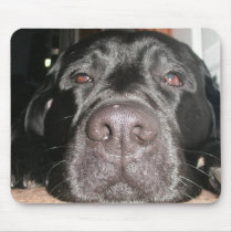 Black Lab Mousepads