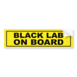Black Lab on Board