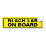 Black Lab on Board