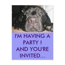 Black Lab Postcard