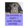 Black Lab Postcard