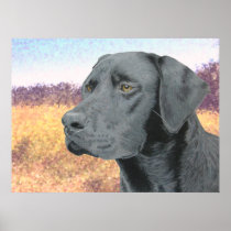 Black Lab Print