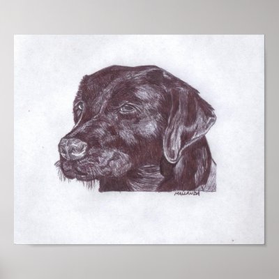 Black Lab Print by SouthStreetArts