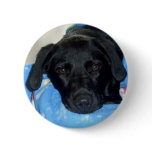 Black Lab Puppy Buttons
