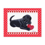 Black Lab Puppy Valentine's Day card Post Cards