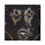 Black Lab Retriever art beautiful dog painting Magnets
