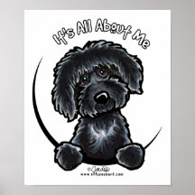 Black Labradodle IAAM Posters