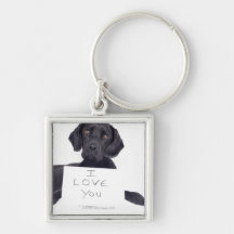 Black Labrador 13 Months Key Chains