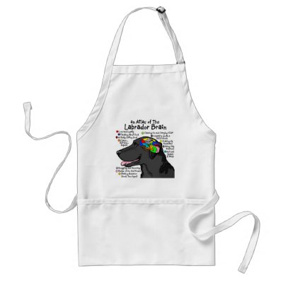 Black Labrador Brain Atlas Apron by terrypond