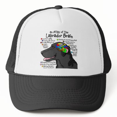 Black Labrador Brain Atlas Hat by terrypond