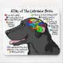 Black Labrador Brain Atlas Mouse Pads