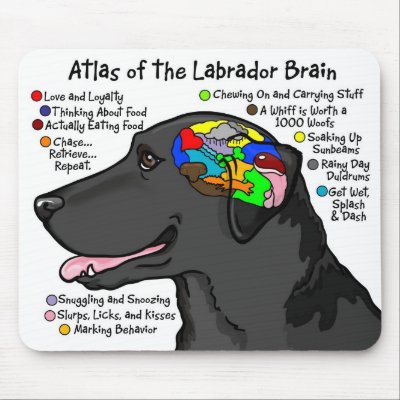 Black Labrador Brain Atlas Mouse Pads by terrypond
