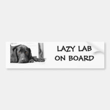 Black Labrador Bumper Stickers