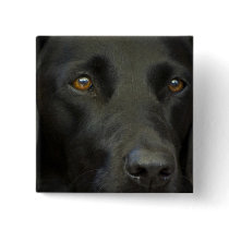 Black Labrador Dog Buttons
