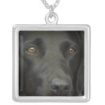Black Labrador Dog Jewelry